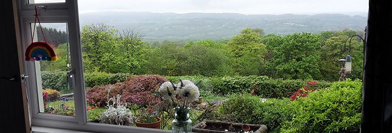 Looking out from front window